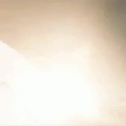 rmgibbs007