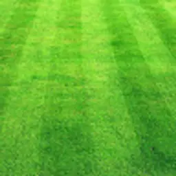 harshsavla01