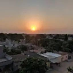 moh_