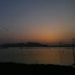 sambhavk861