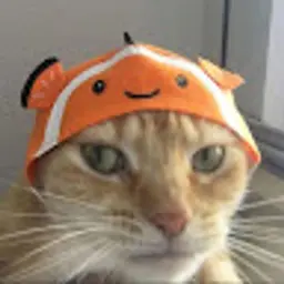 apiz