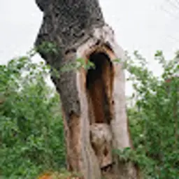 eliecrespin