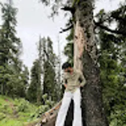 rohillamanas06