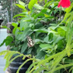 pradeepyad089