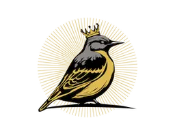kingbirdchris