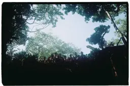 noahb