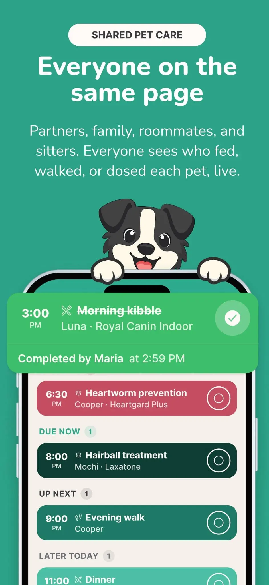 Screenshot 2 of Collie