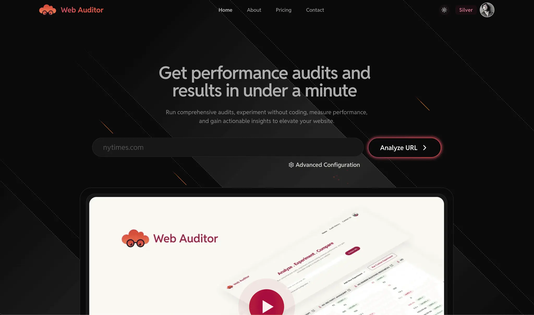 Screenshot 1 of Web Auditor