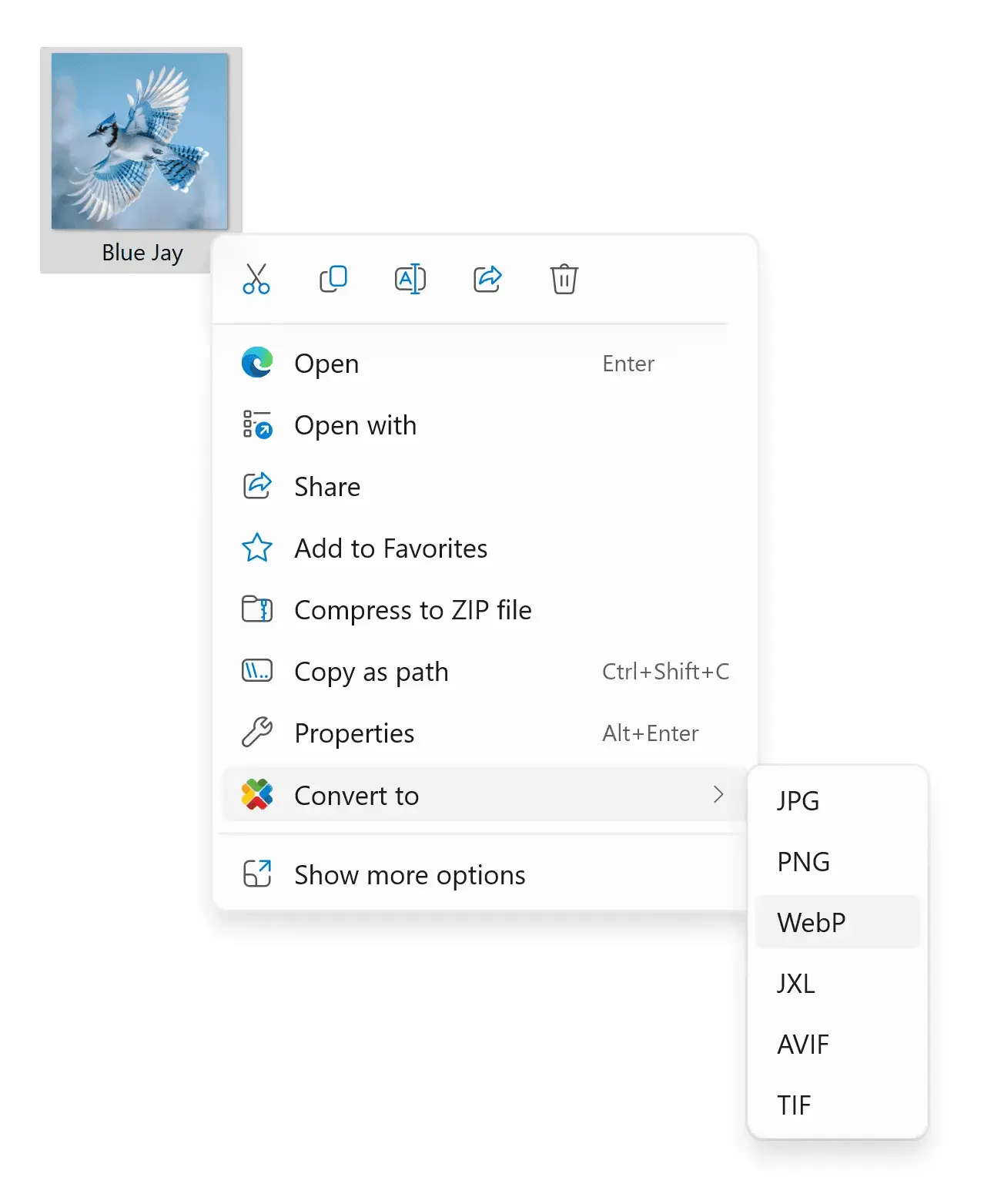 Screenshot 2 of reaConverter