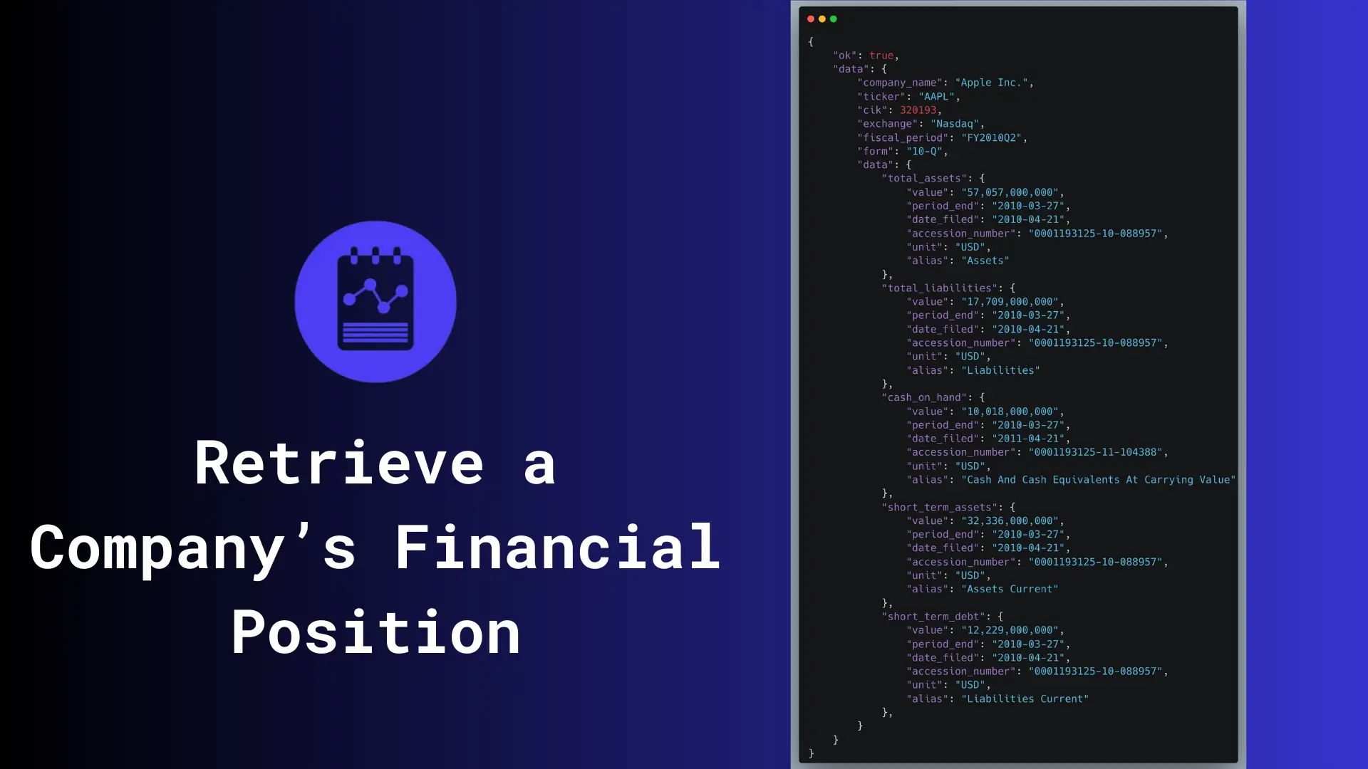 Screenshot 4 of Regora SEC Financial Reports API