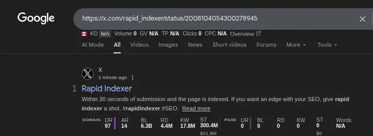 Screenshot 3 of Rapid Indexer