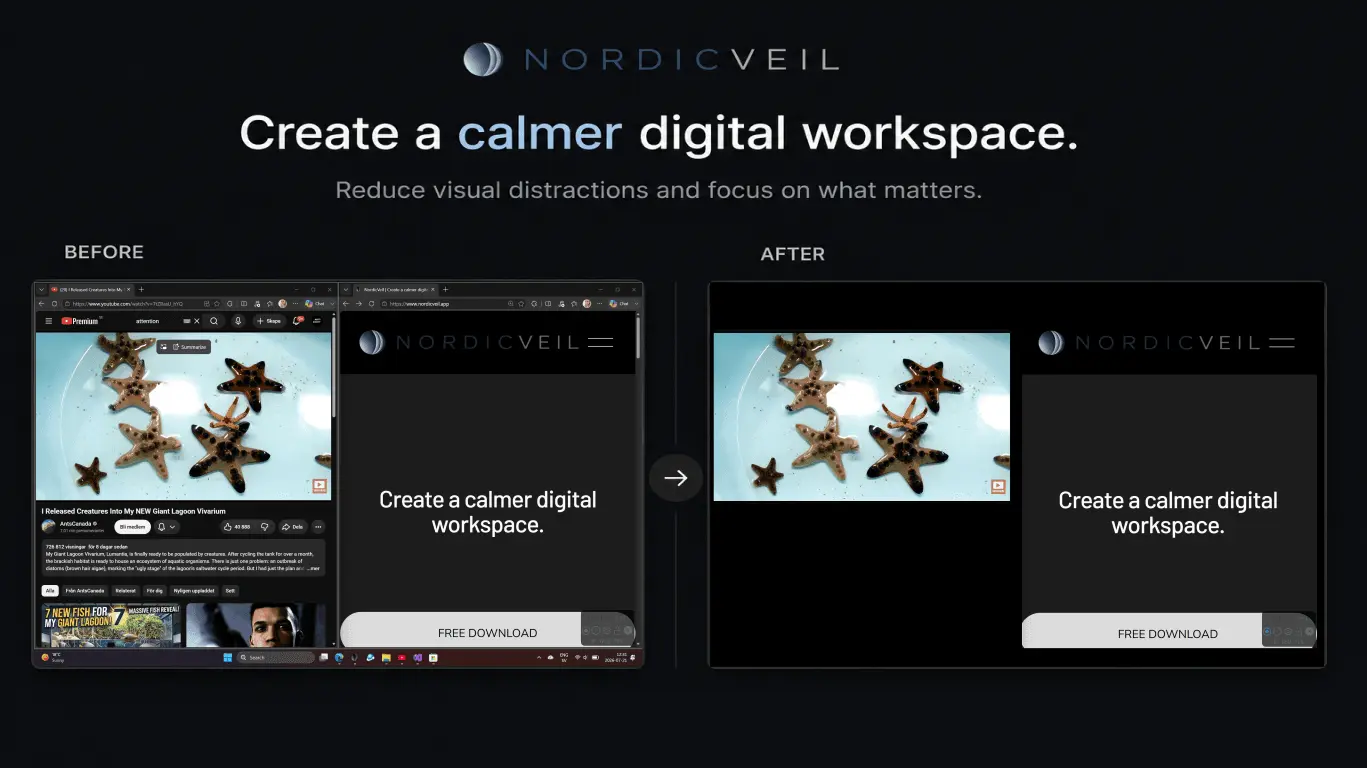 Screenshot 2 of NordicVeil
