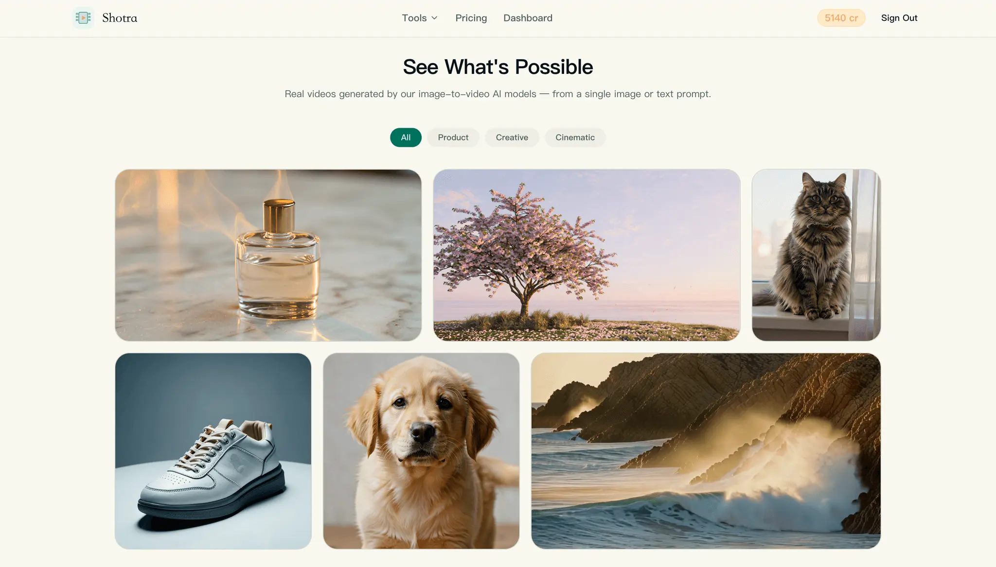 Screenshot 3 of Shotra