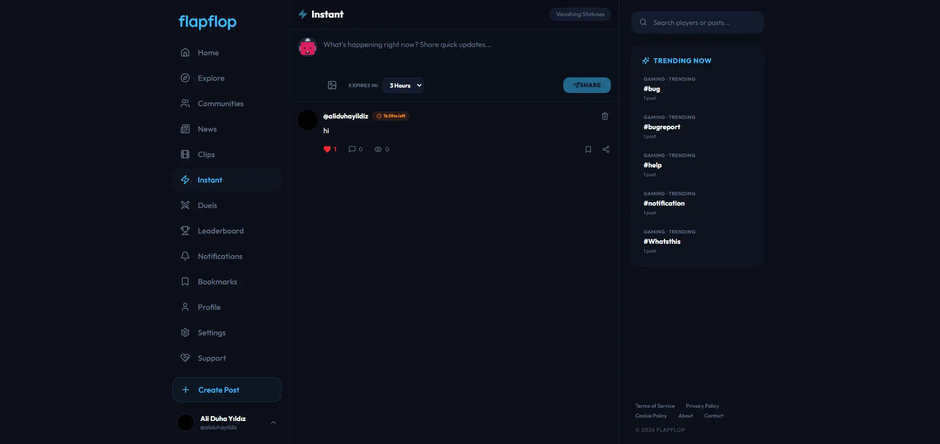 Screenshot 3 of flapflop
