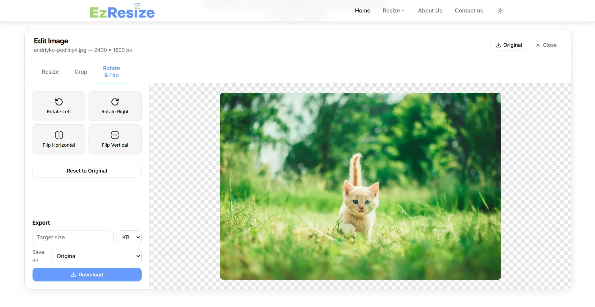 Screenshot 4 of Free Image Resizer Online – EzResize