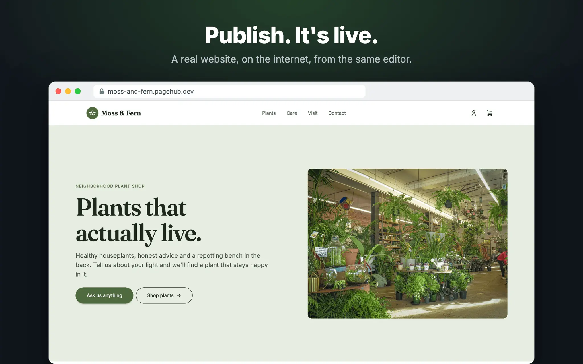Screenshot 3 of PageHub – AI + Visual Website Builder