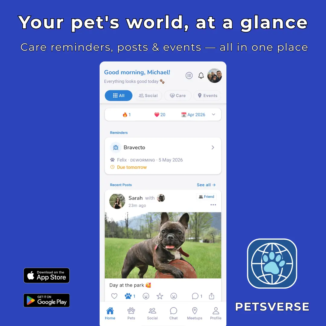 Screenshot 1 of PetsVerse