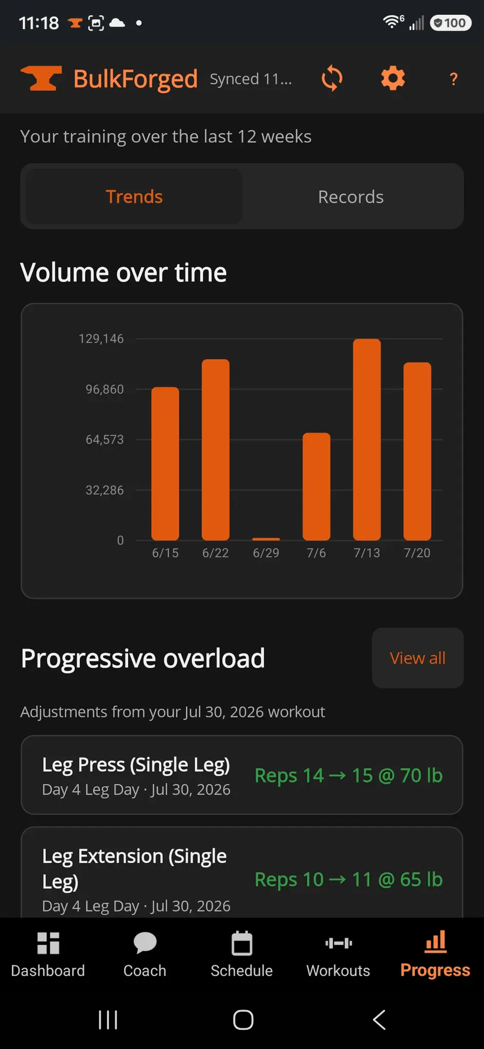 Screenshot 5 of BulkForged