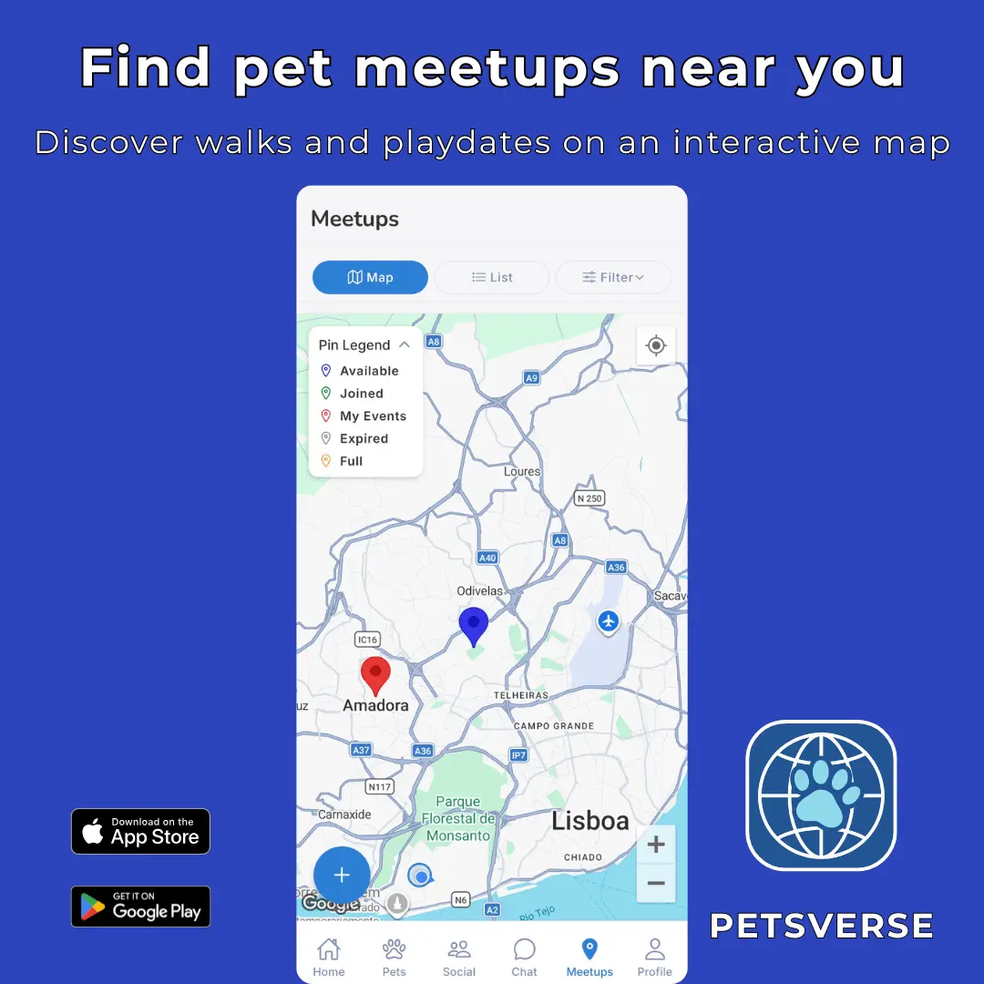 Screenshot 2 of PetsVerse