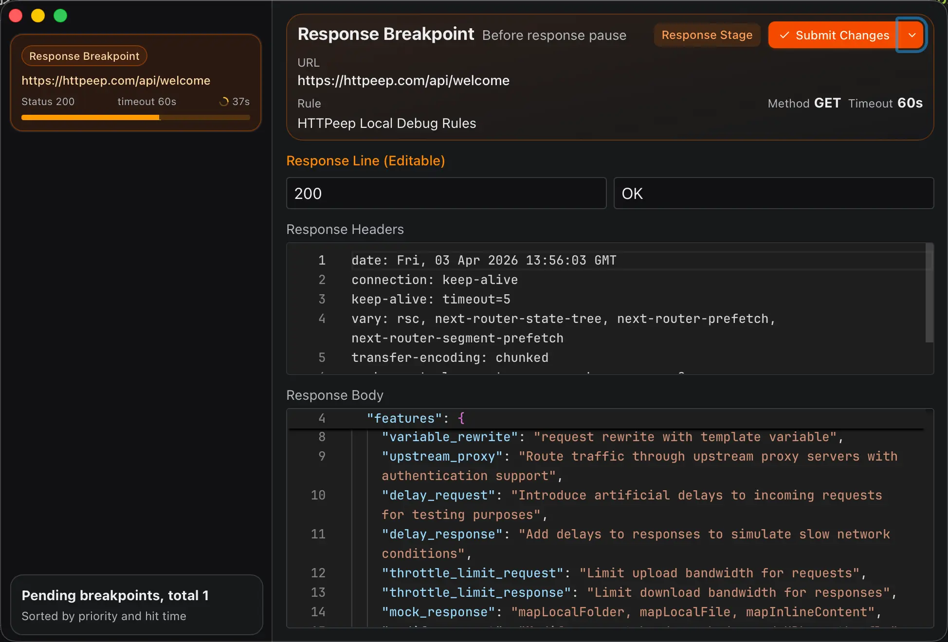 Screenshot 2 of HTTPeep