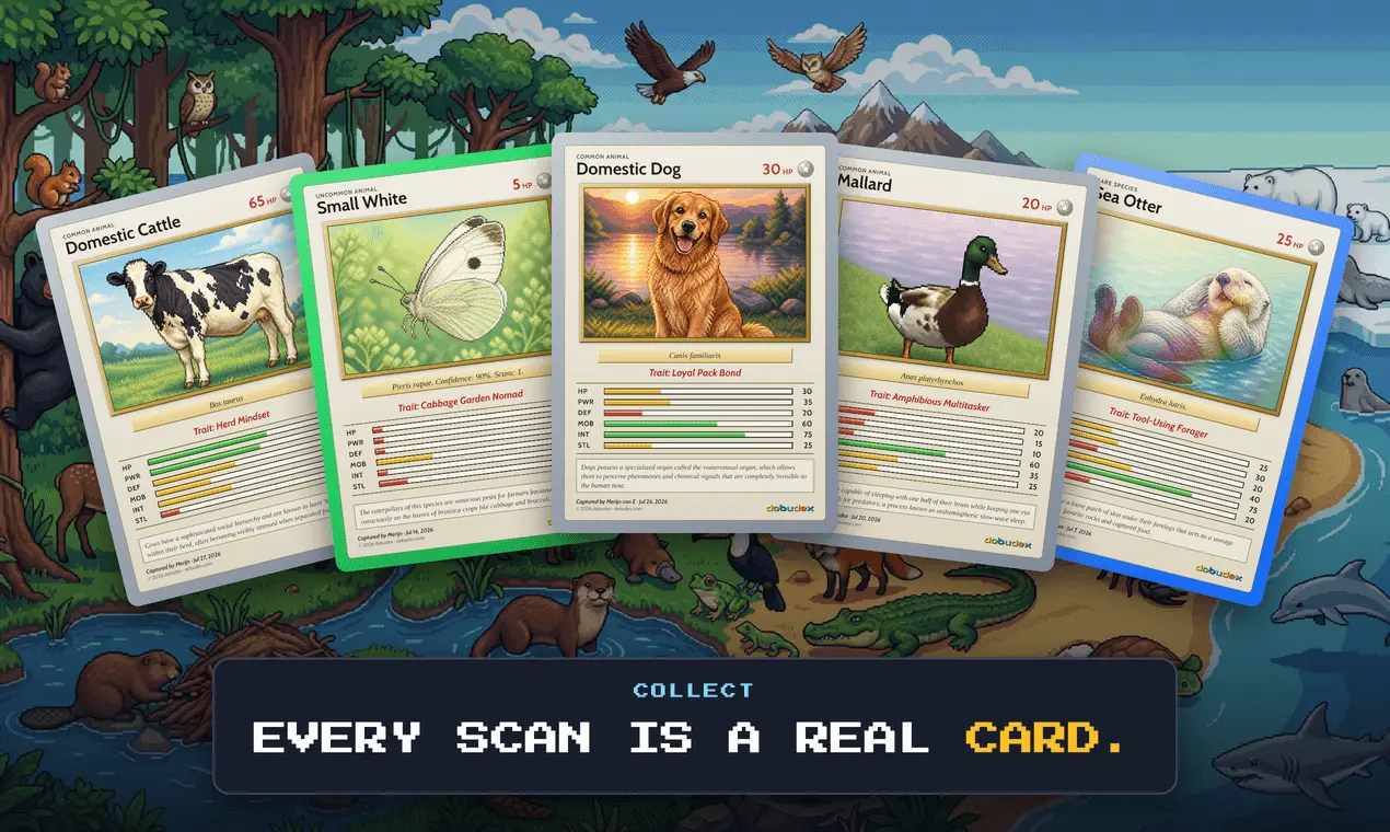 Screenshot 2 of dobudex