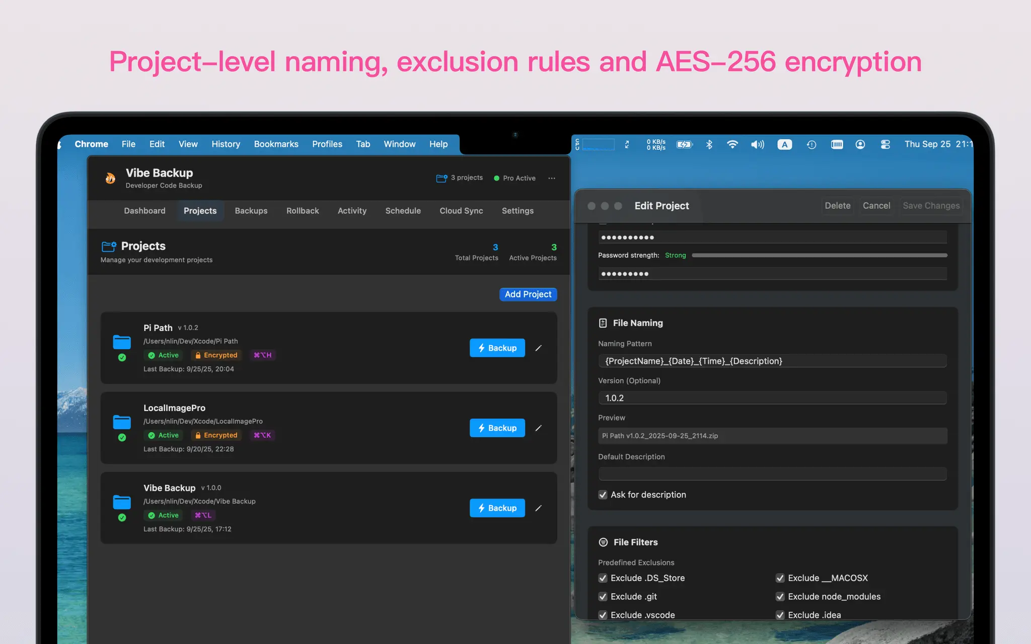 Screenshot 1 of Vibe Backup
