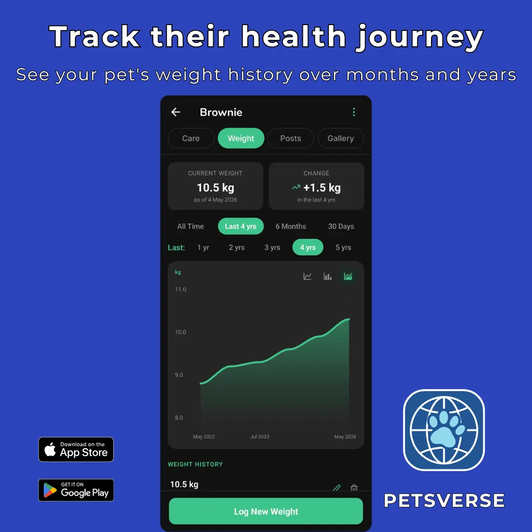 Screenshot 4 of PetsVerse