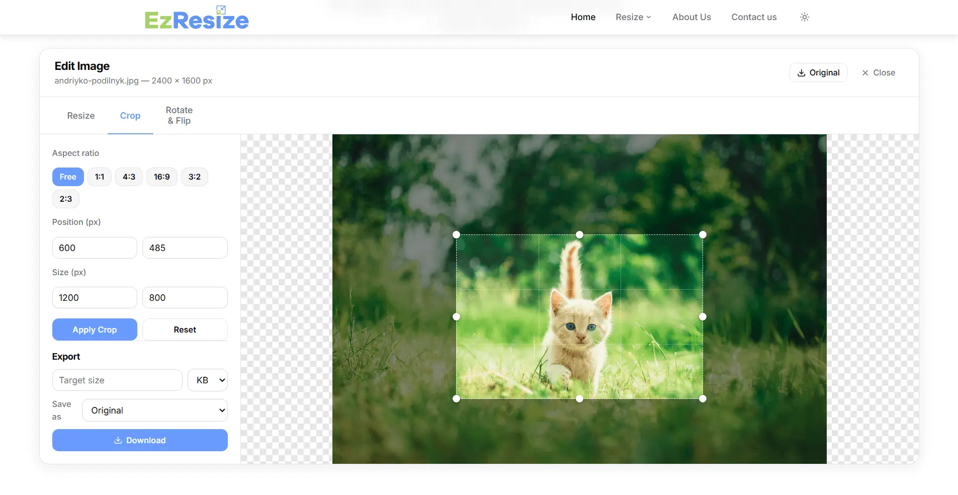 Screenshot 6 of Free Image Resizer Online – EzResize
