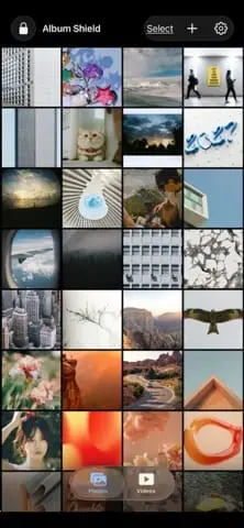 Screenshot 1 of Album Shield