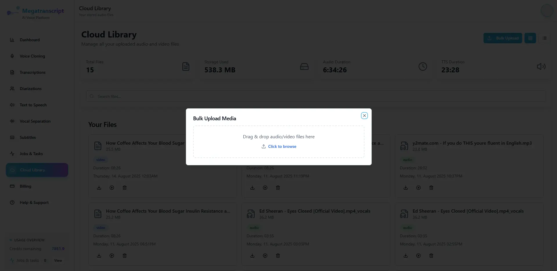 Screenshot 8 of MegaTranscript