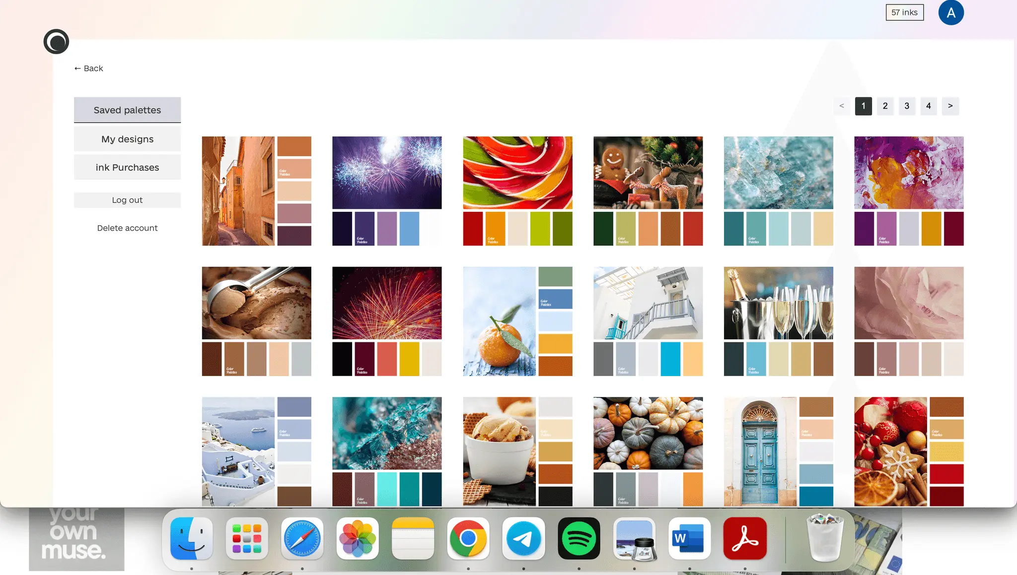 Screenshot 4 of Paleye