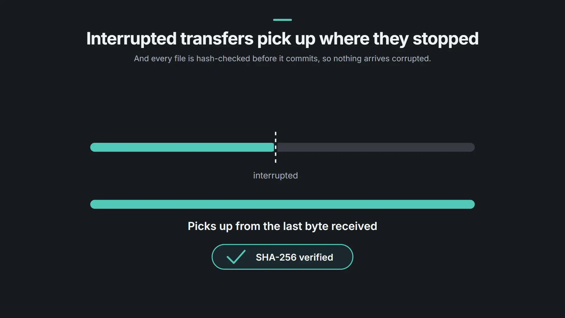 Screenshot 6 of HomiDrive