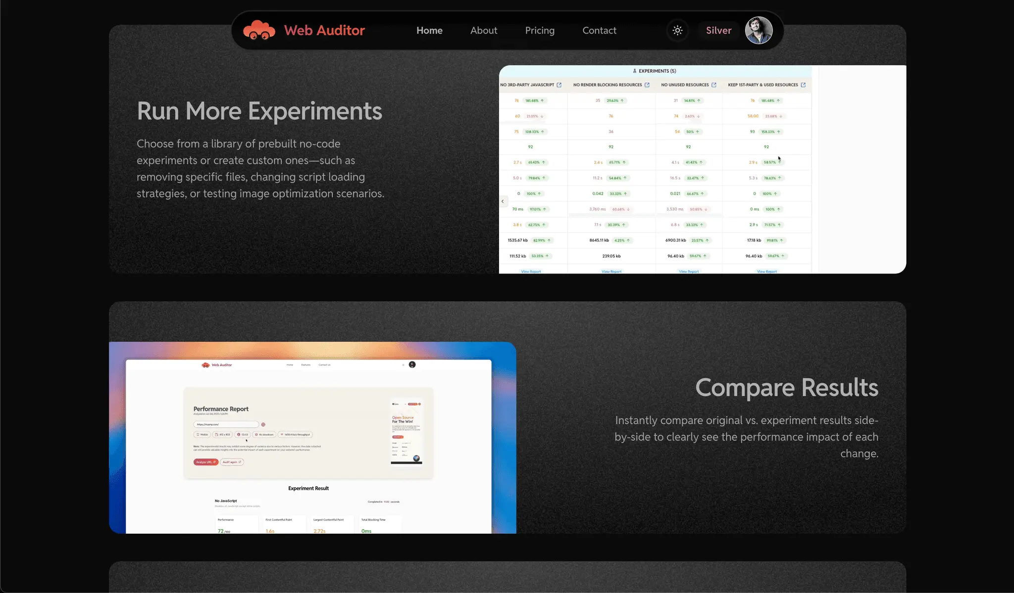 Screenshot 2 of Web Auditor