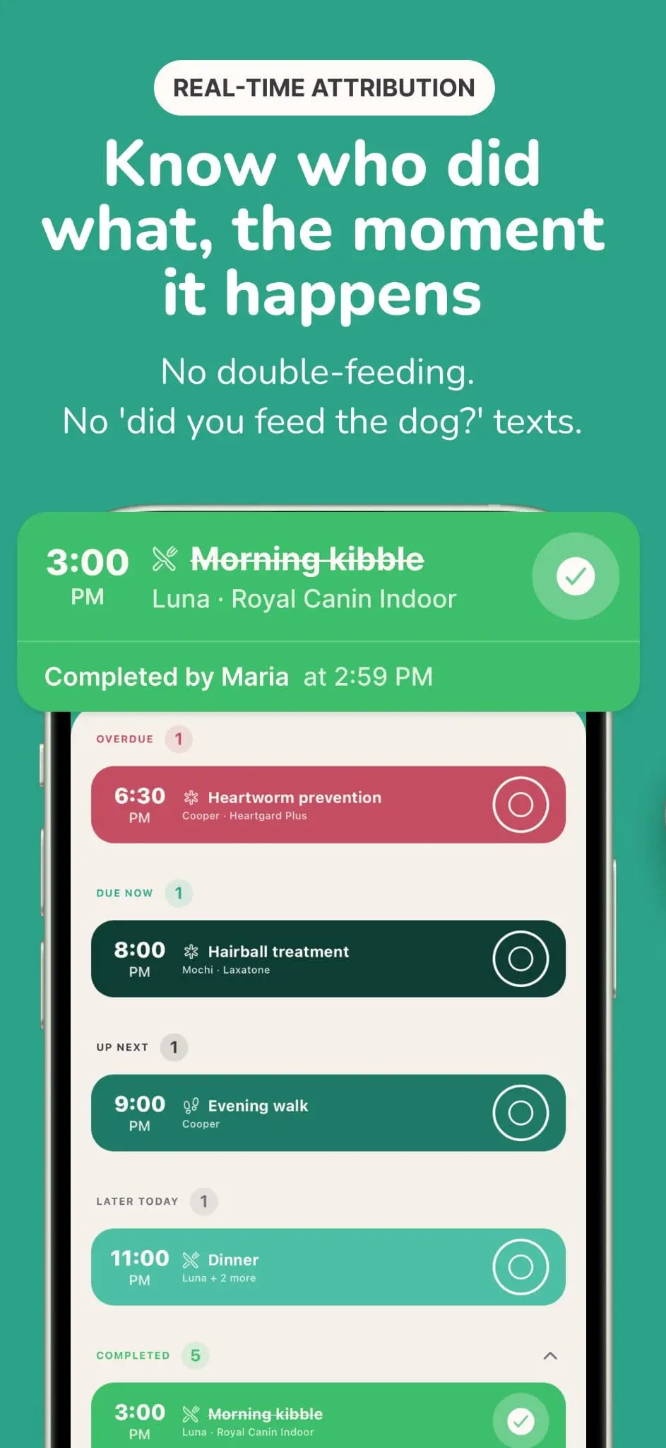 Screenshot 3 of Collie