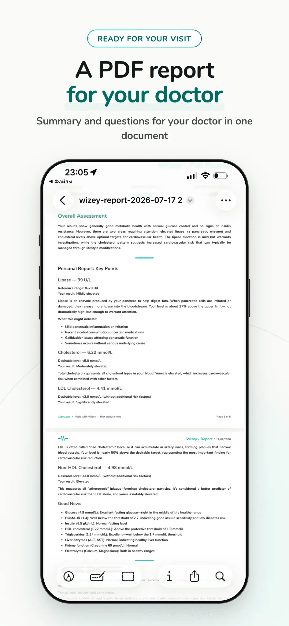 Screenshot 5 of Wizey — AI Lab Results Analyzer