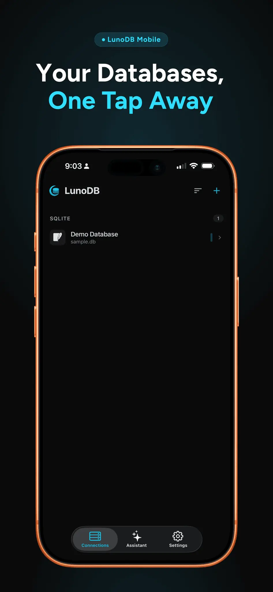 Screenshot 4 of LunoDB Mobile