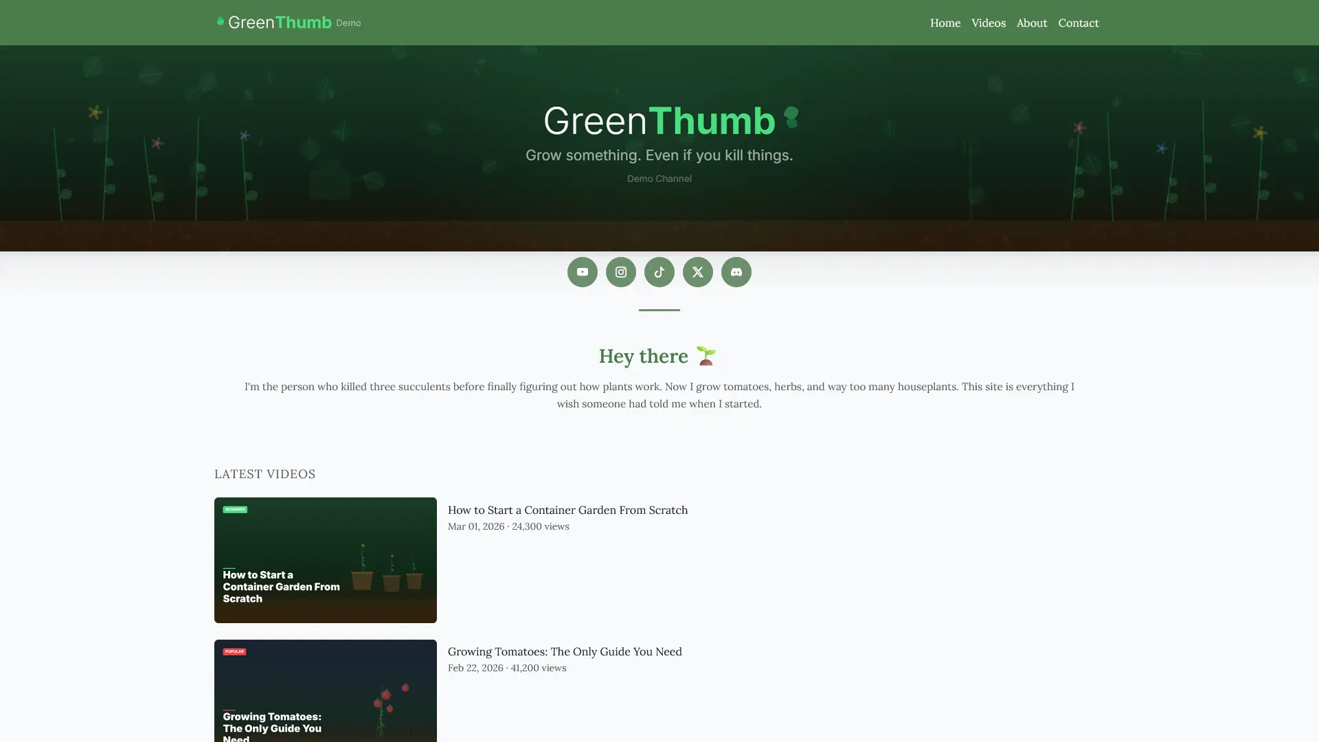 Screenshot 1 of TubeCMS