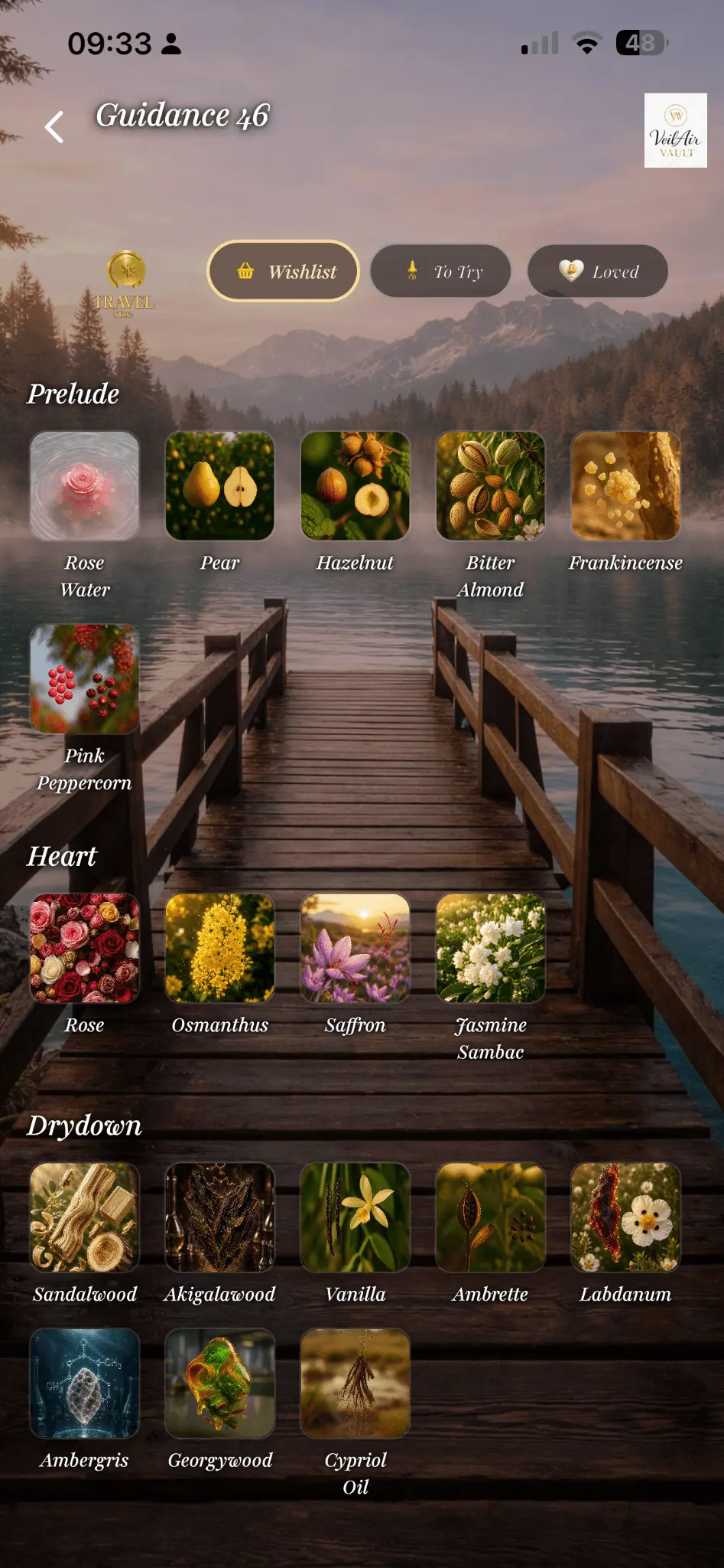 Screenshot 5 of VeilAir Vault