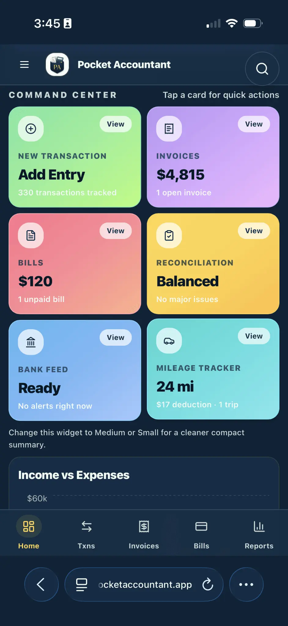 Screenshot 8 of Pocket Accountant