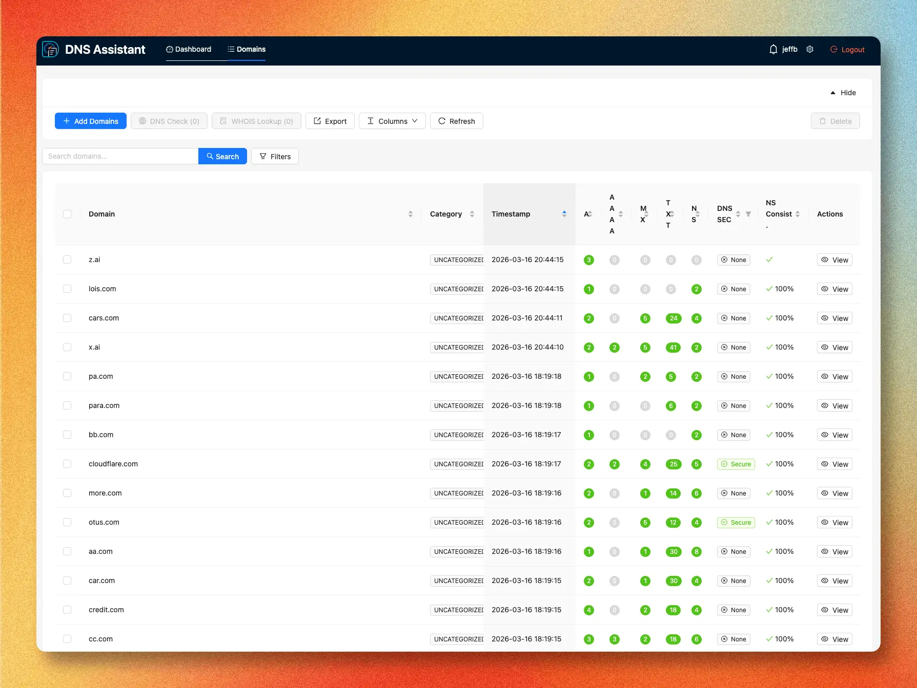 Screenshot 2 of DNS Assistant