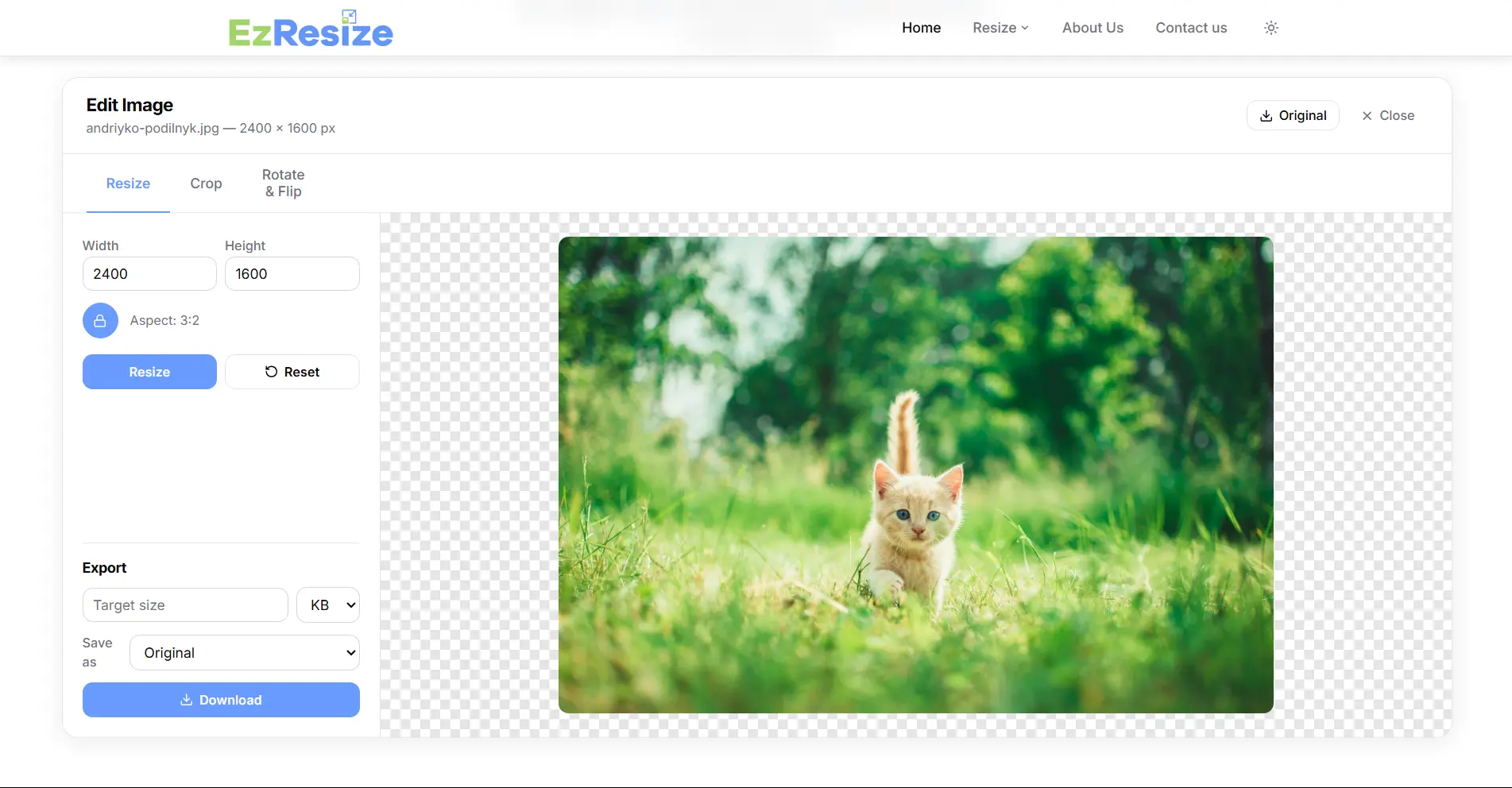 Screenshot 3 of Free Image Resizer Online – EzResize