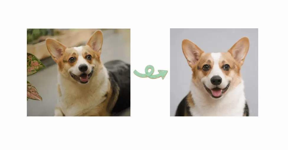 Screenshot 3 of AI Dog Photo Studio