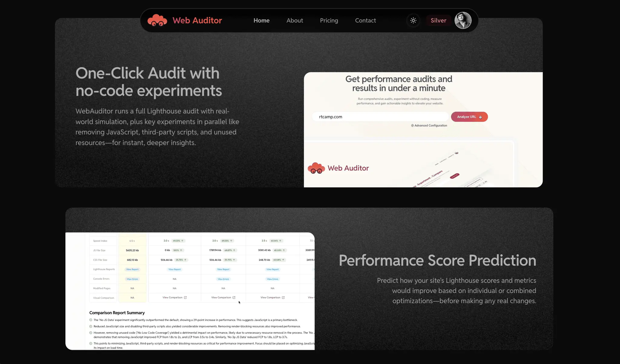 Screenshot 3 of Web Auditor