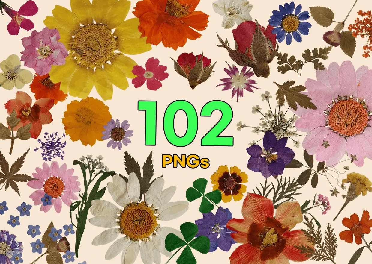 Screenshot 7 of PNG Heaven