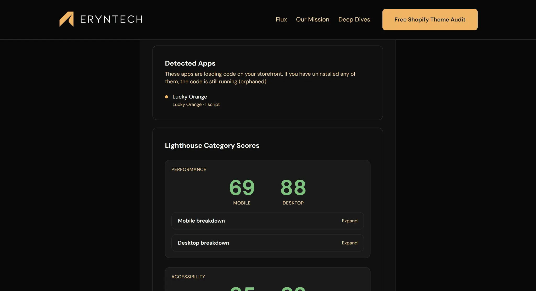 Screenshot 1 of Free Shopify Store Audit Tool