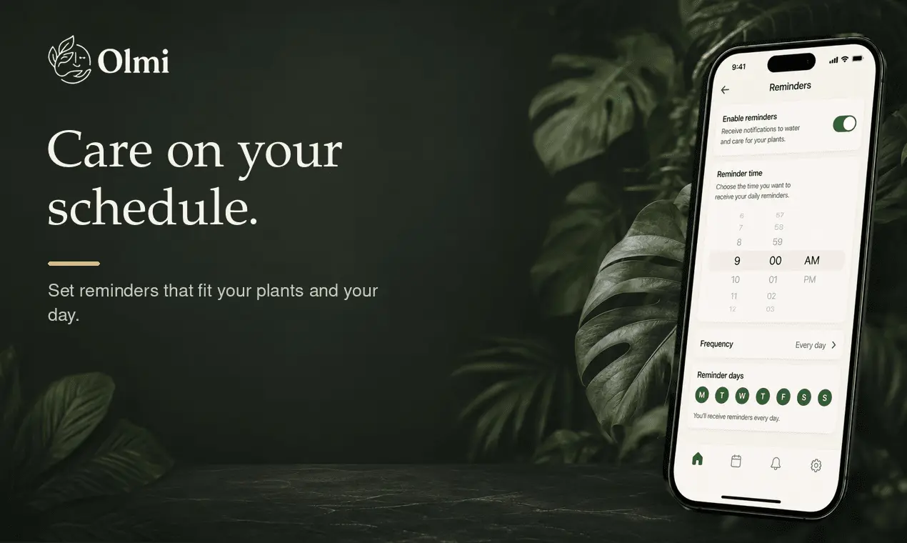 Screenshot 3 of Olmi