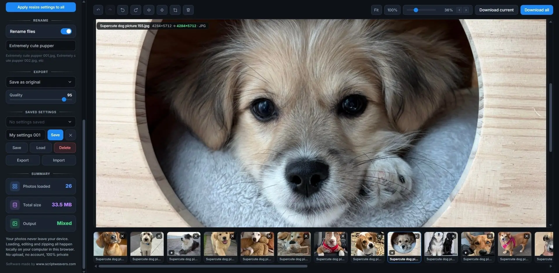 Screenshot 3 of Bulk Photo Editor