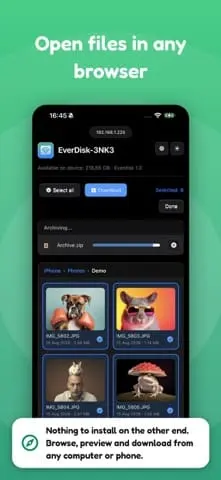 Screenshot 1 of Everdisk