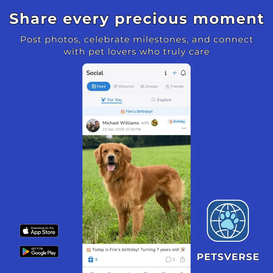 Screenshot 3 of PetsVerse