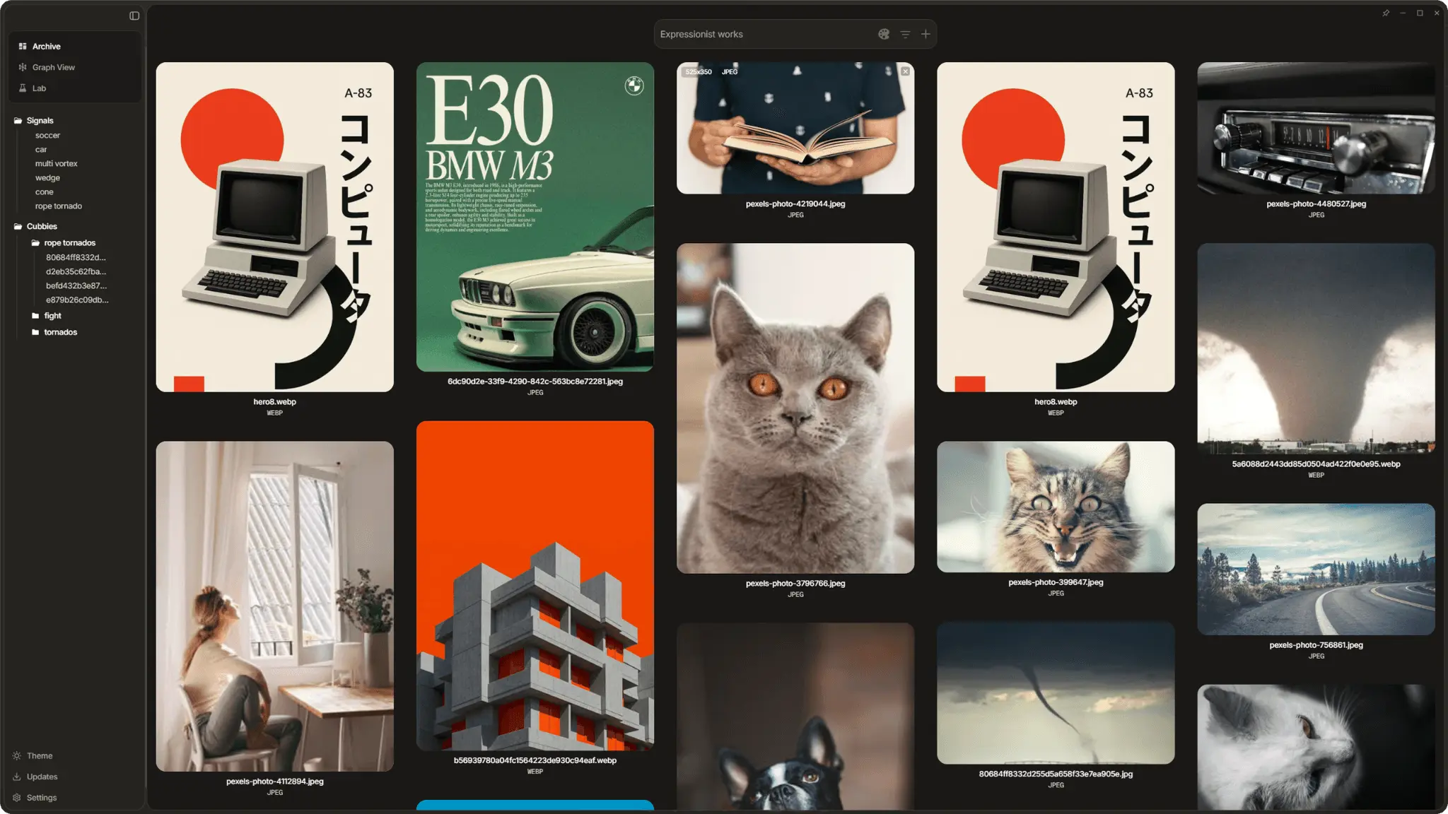 Screenshot 10 of Dotient